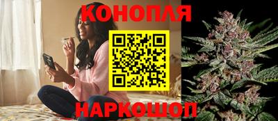 сатива Краснодар