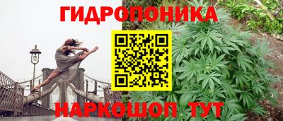 гашик Краснокаменск