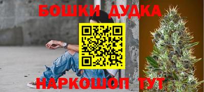 сатива Краснодар