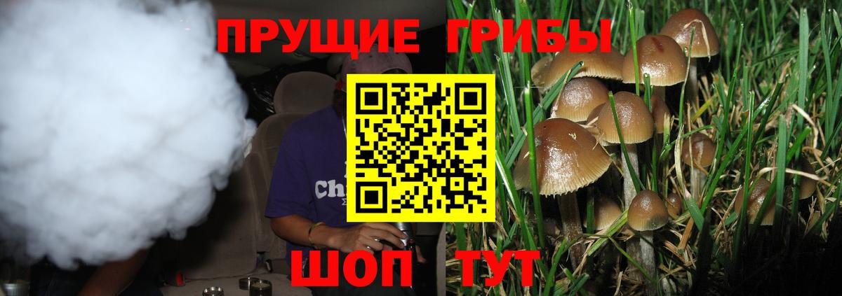 Черняховск  Галлюциногенные грибы прущие грибы  Вход с VPN 